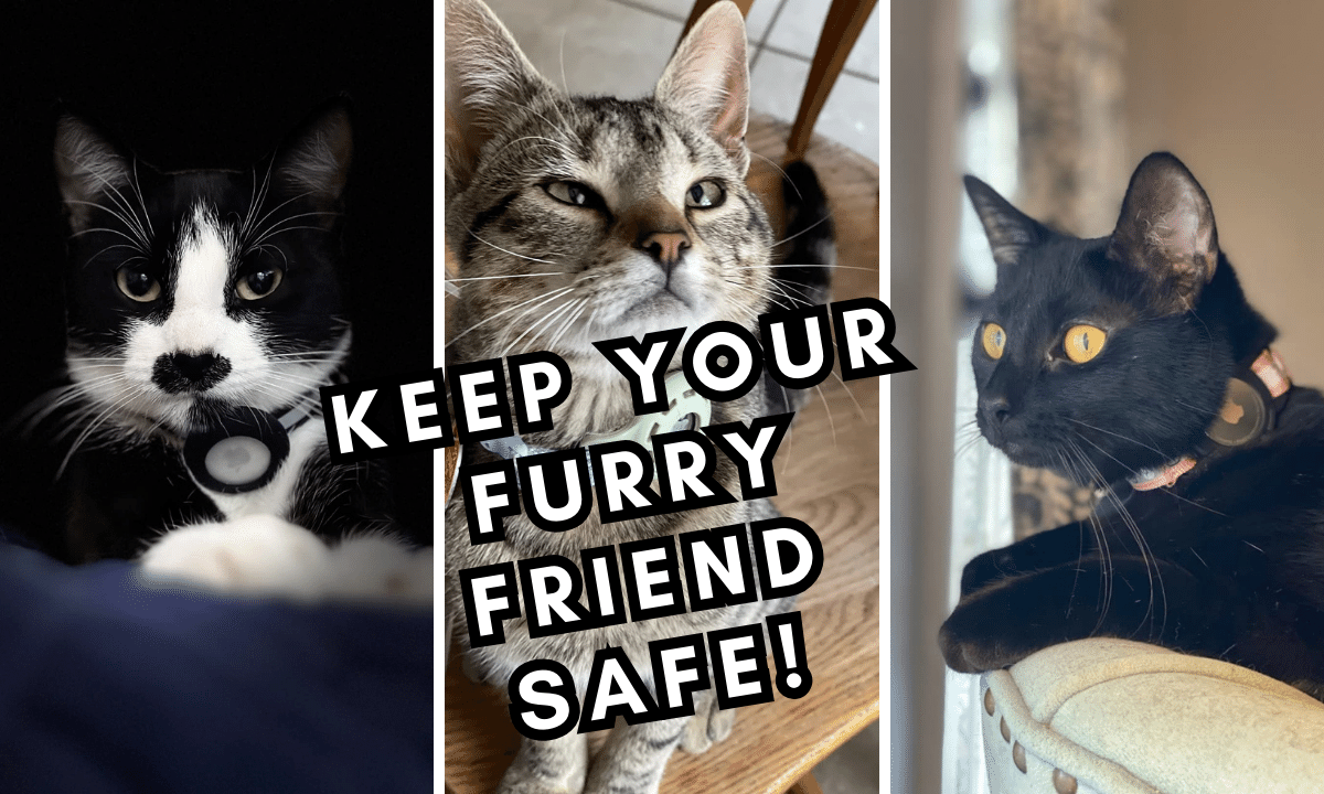 Bring Your Purring Pal Home Safely: Reviewing The Best AirTag Collars For Cats